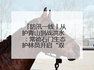 防汛一线丨从护青山到战洪水：常德石门生态护林员开启“双重守护”模式
